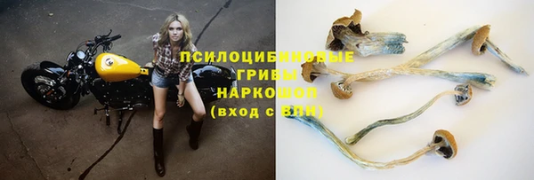 эйфоретик Алексин