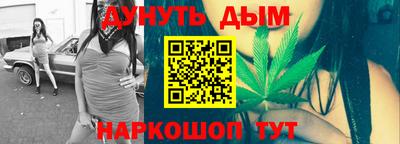 мдпв Бийск