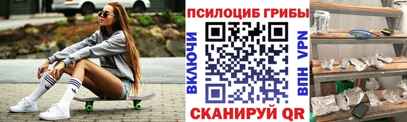 где продают   Гагарин  Псилоцибиновые грибы ЛСД 