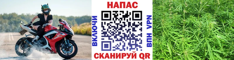 Конопля конопля наркошоп Гагарин